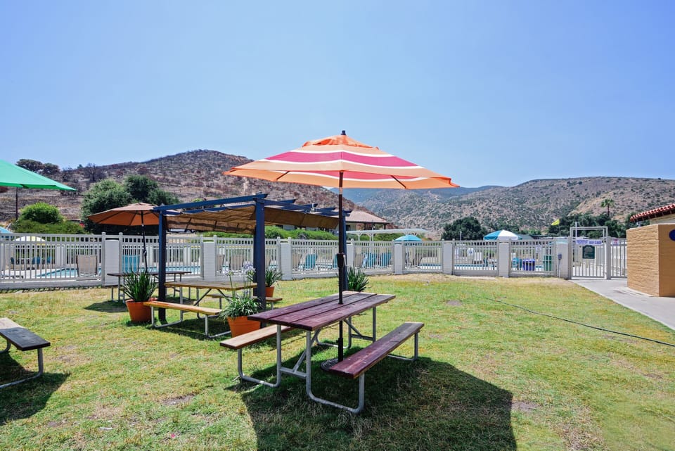 BBQ/picnic area