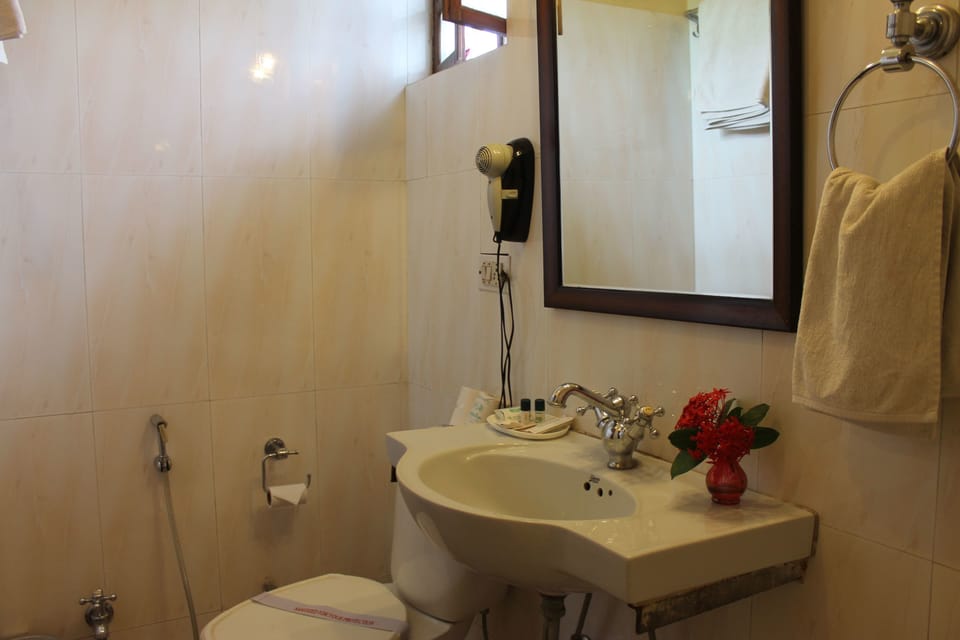 Suite | Bathroom | Free toiletries, hair dryer, towels