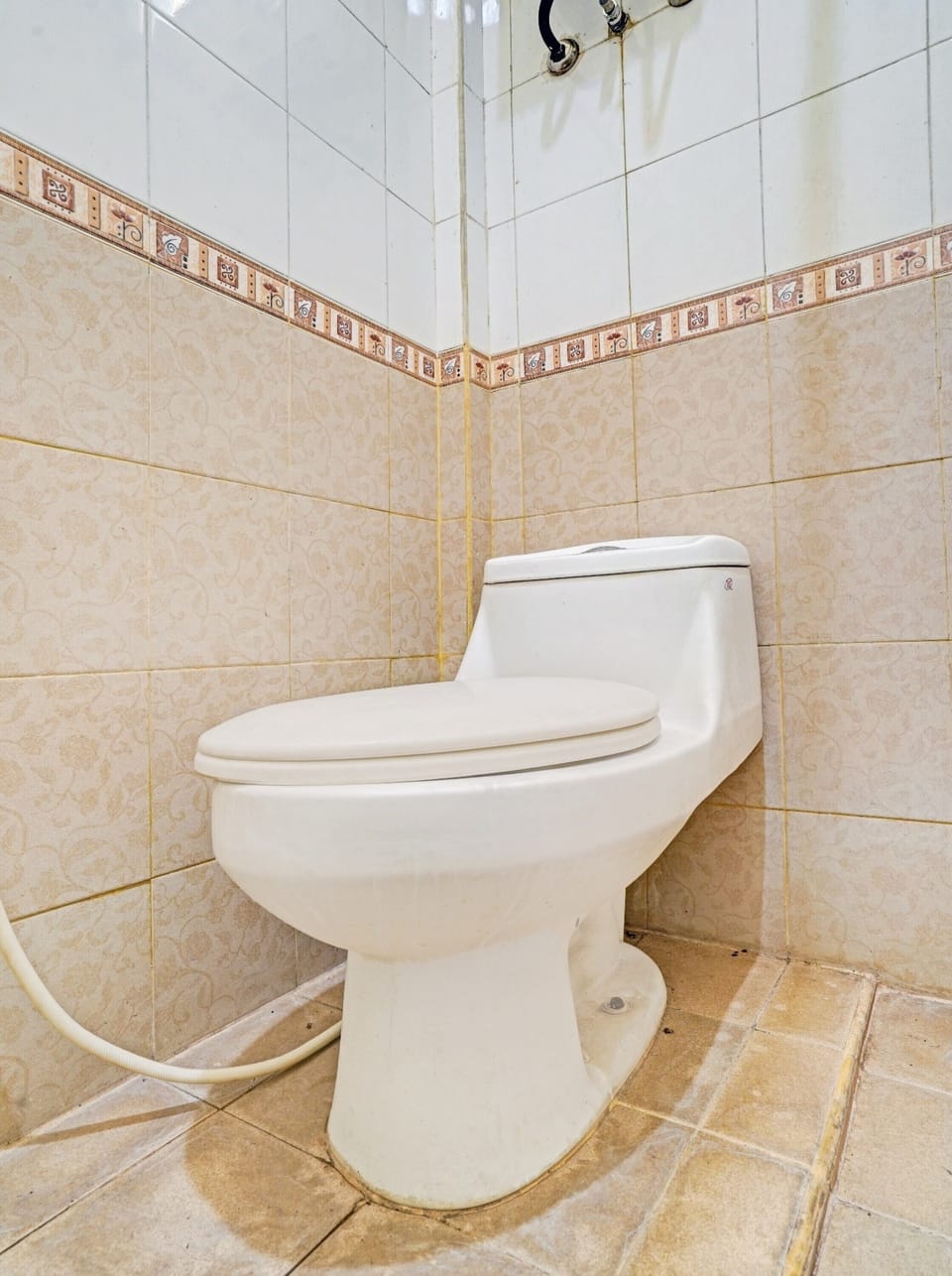 Shower, rainfall showerhead, towels, toilet paper