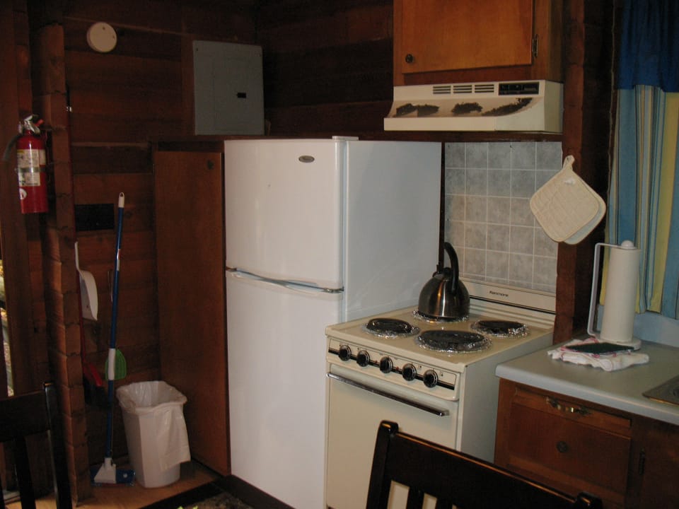 Cabin, Multiple Beds, Non Smoking, Lake View (Linens available) | Private kitchen | Full-size fridge, microwave, stovetop, coffee/tea maker