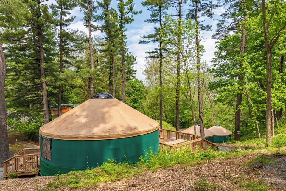 Studio, Multiple Beds, Non Smoking (Yurt, Linens Not Included, No Pets) | Terrace/patio