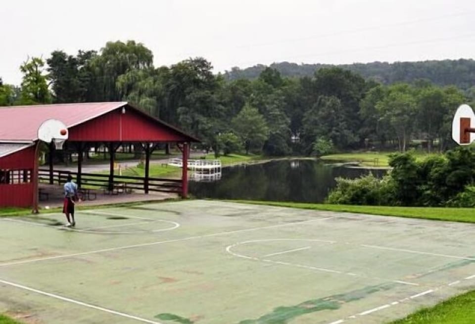 Basketball court