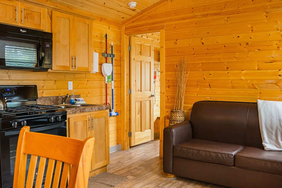 25-inch flat-screen TV with satellite channels, TV, DVD player