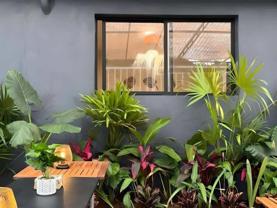 Studio interior with greenery by the window