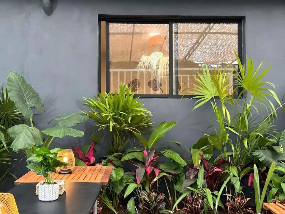 Shared outdoor seating area with plants