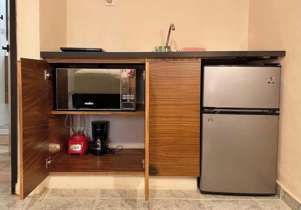 Kitchenette with mini fridge and freezer