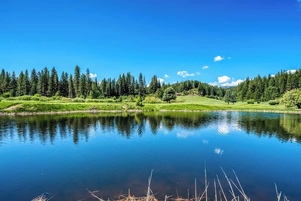 Gorgeous view on the Pond