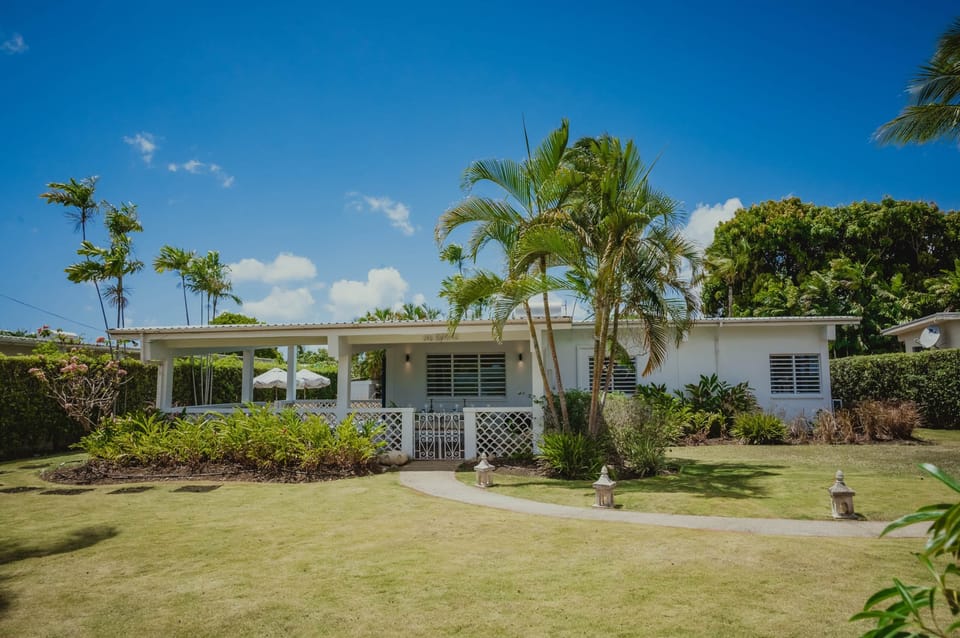 Palm Villa