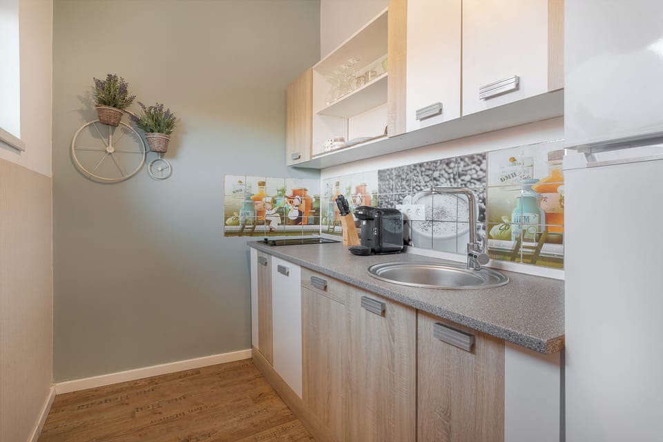 Executive Apartment | Private kitchen | Espresso maker, coffee/tea maker, cleaning supplies