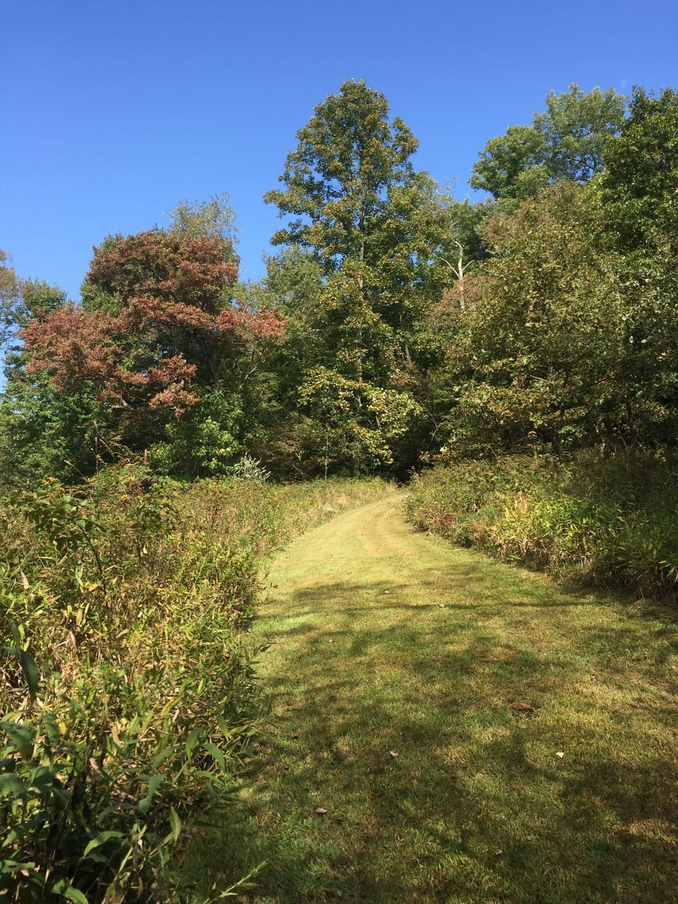 Hiking trail