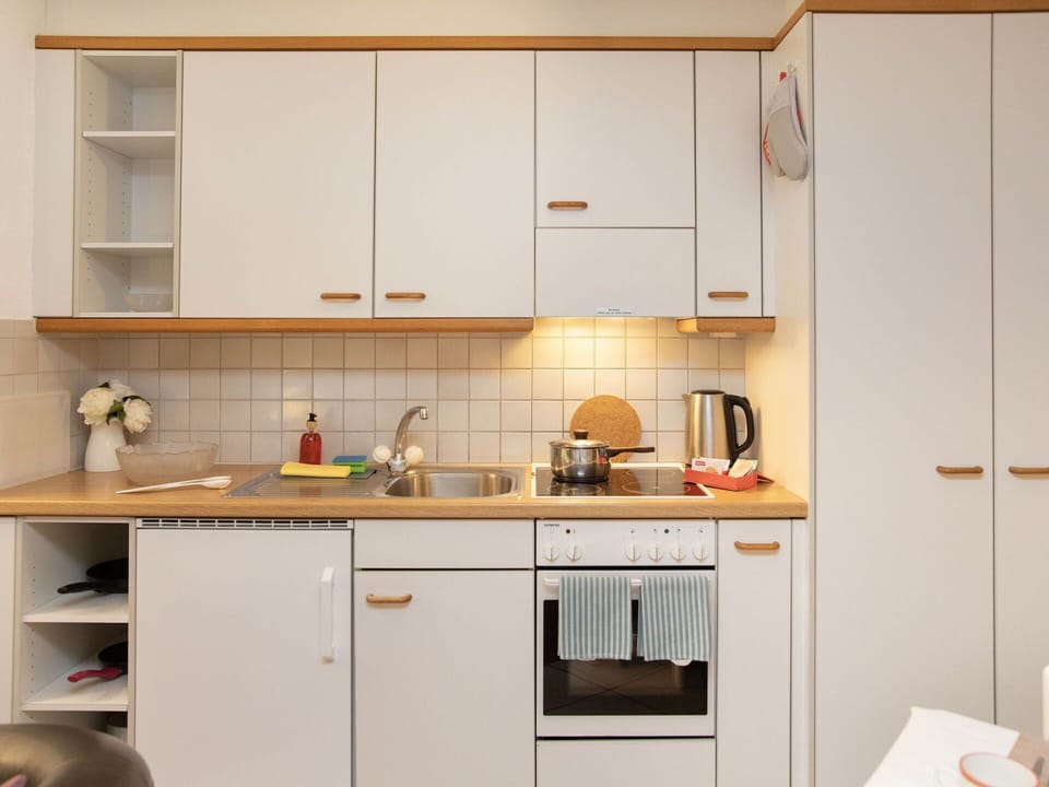 Kitchen, Kitchen Appliance, Countertop, Cabinetry, Major Appliance, Wood, Interior Design, Furniture, Kitchen Sink, Sink