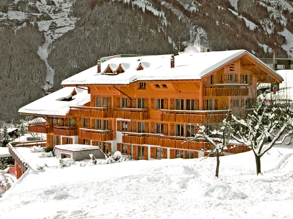 Building, Snow, Property, Window, House, Slope, Architecture, Cottage, Freezing, Tree