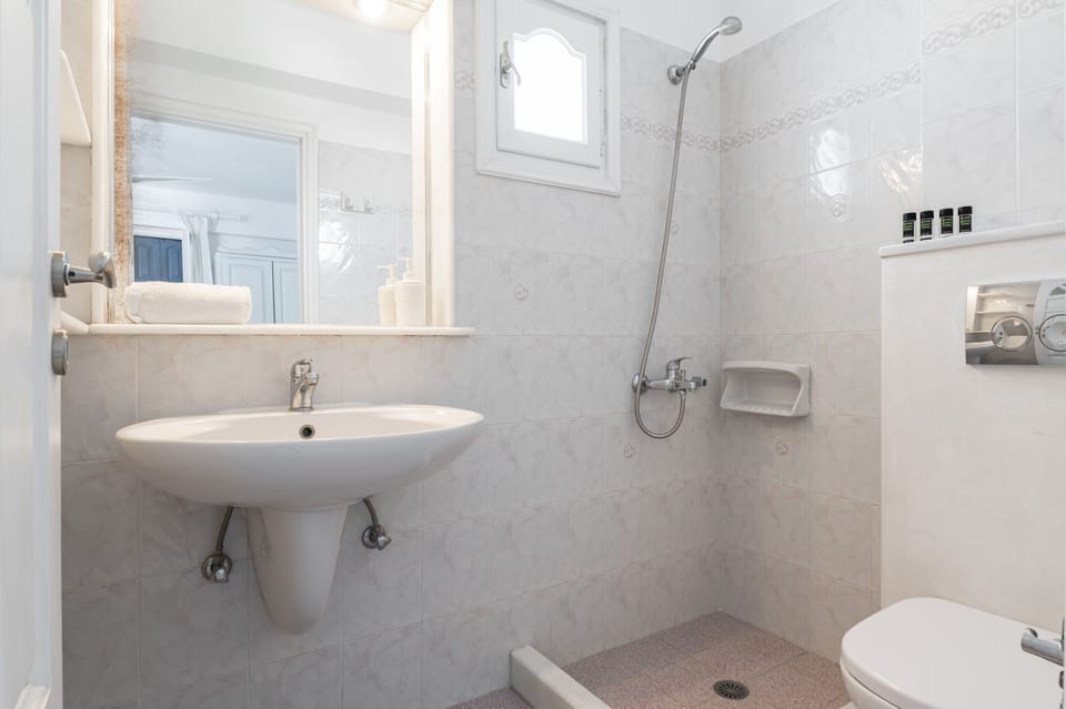 Standard Triple Room | Bathroom | Shower, free toiletries, hair dryer, towels