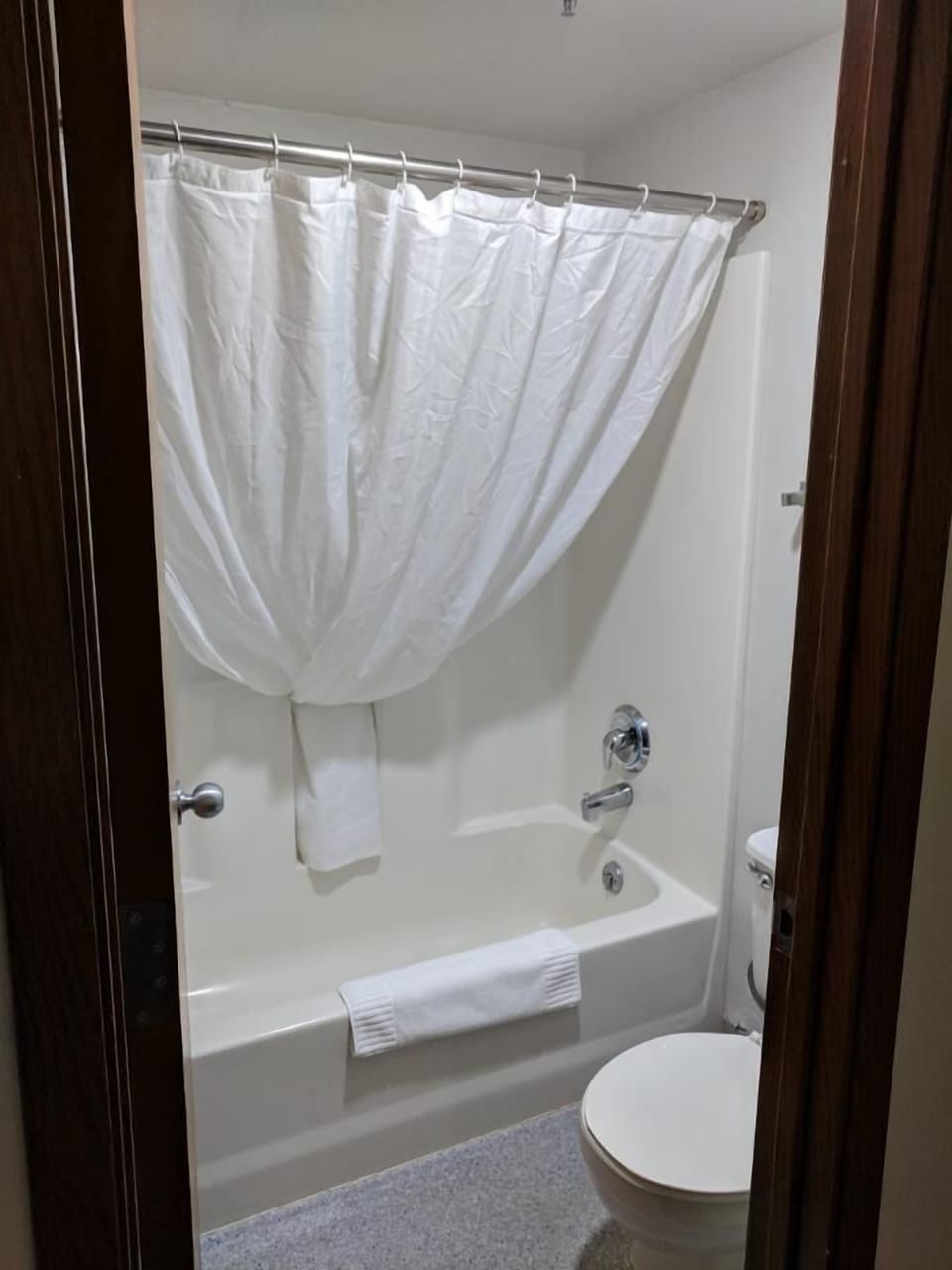 Free toiletries, hair dryer, bidet, towels