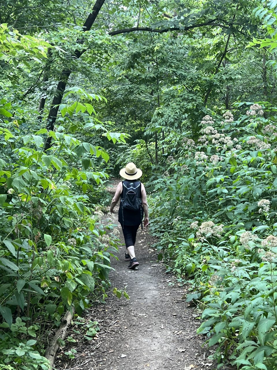 Fine walking options through Roberts Bird Sanctuary, right out your back door.
