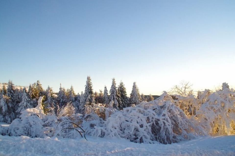 Snow and ski sports