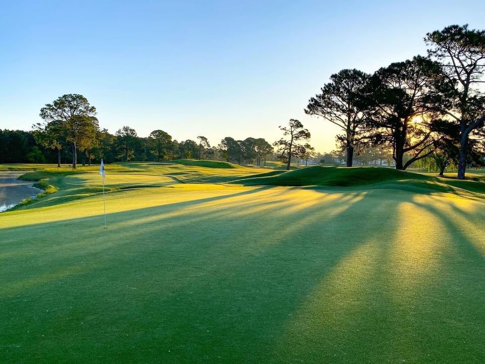 Home to over 90 area golf courses.
