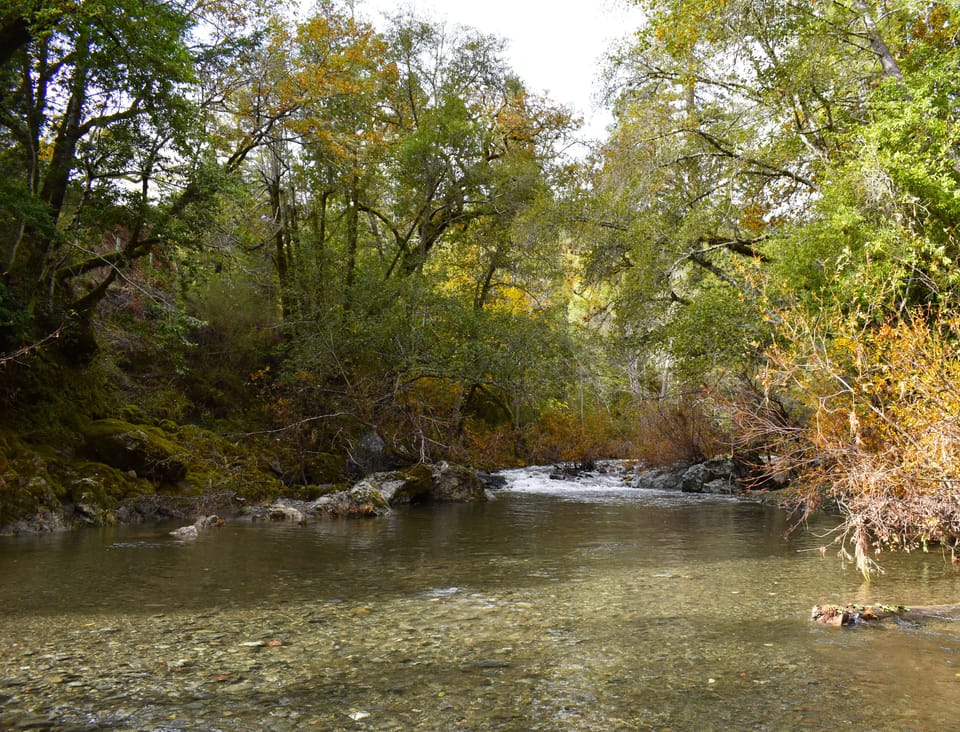 Austin Creek (across the street) is a pristine, seasonal creek.