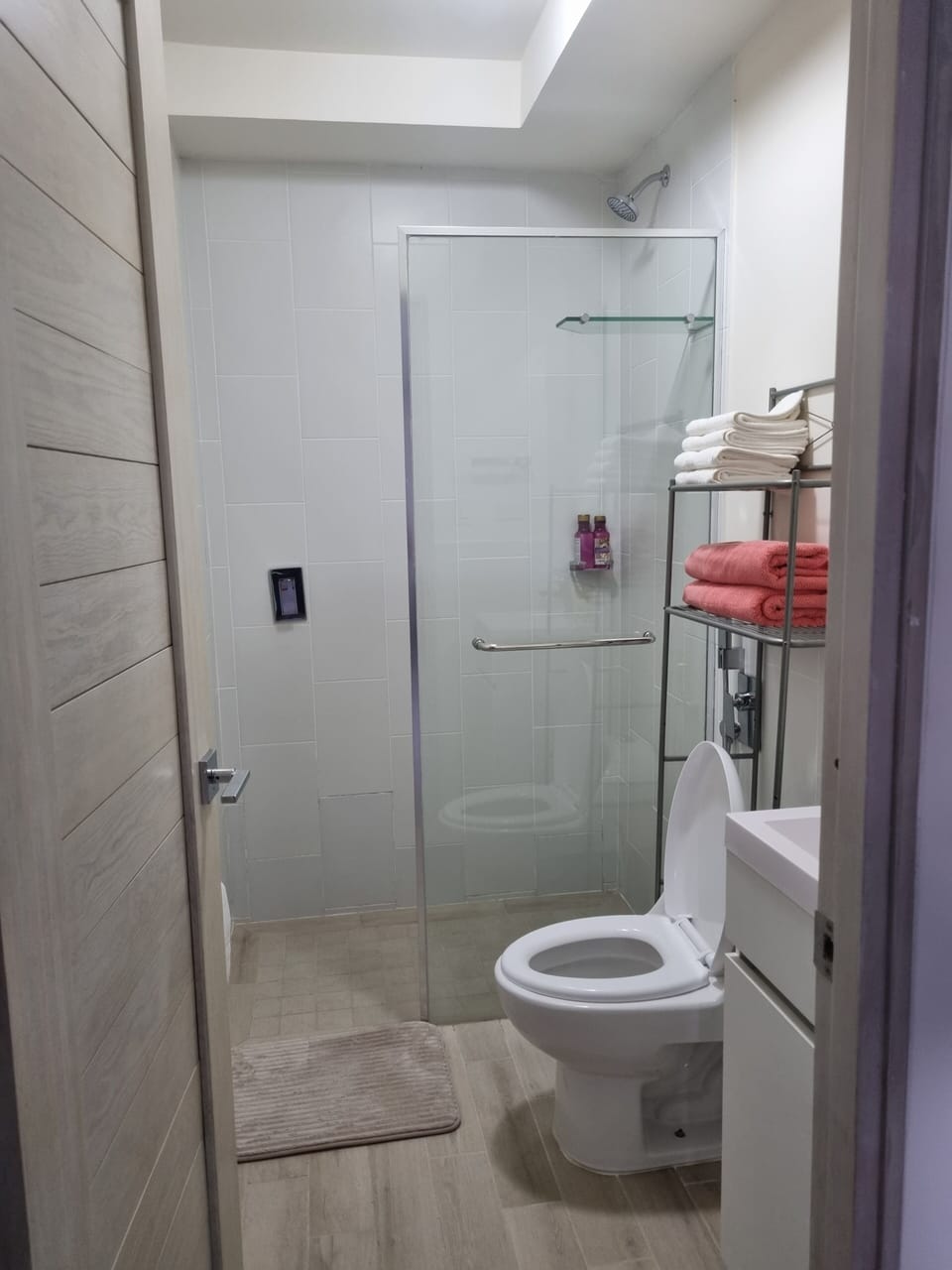 Guest bathroom