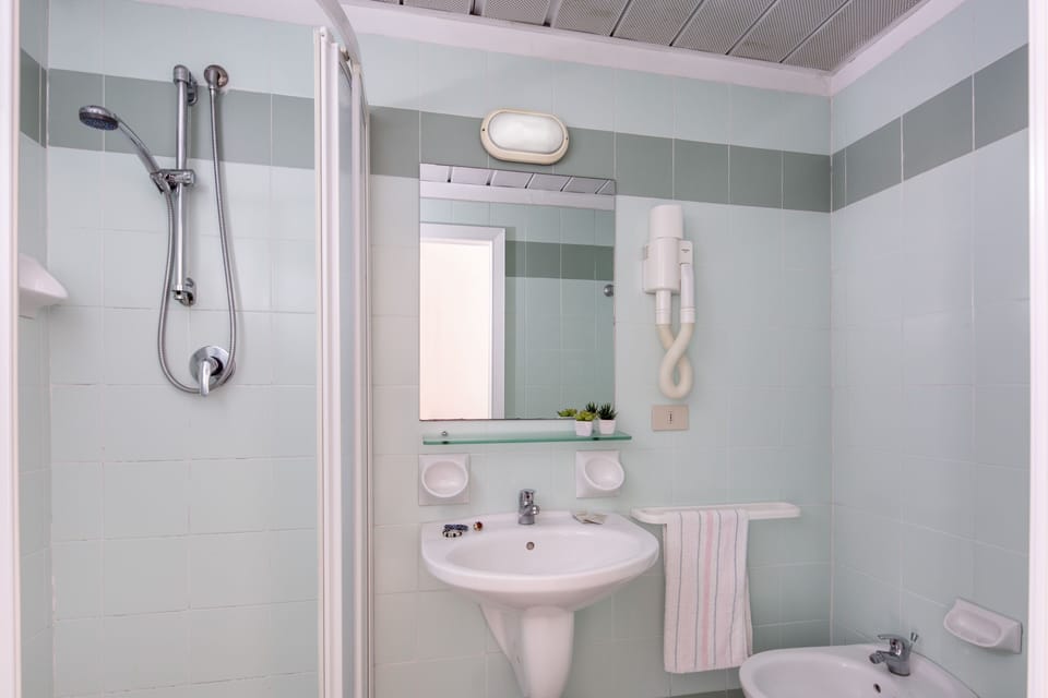 Shower, hair dryer, bidet, towels