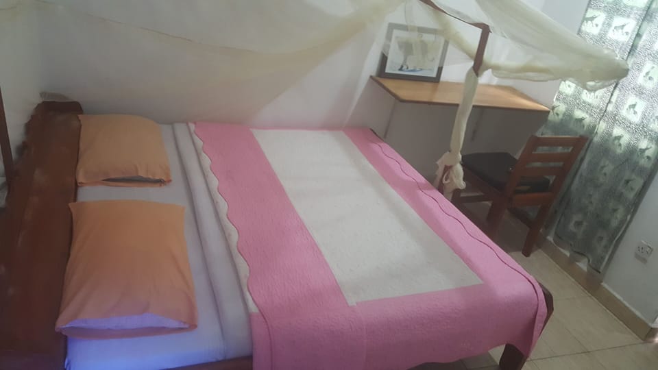 Basic Double Room