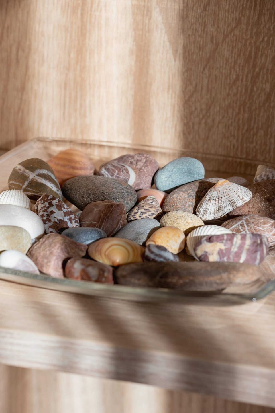 A close-up of a decorative bowl filled with seashells, adding a natural and cozy touch.
