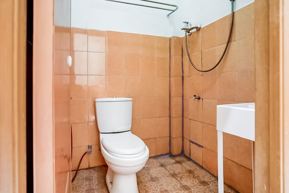 Shower, rainfall showerhead, towels, toilet paper