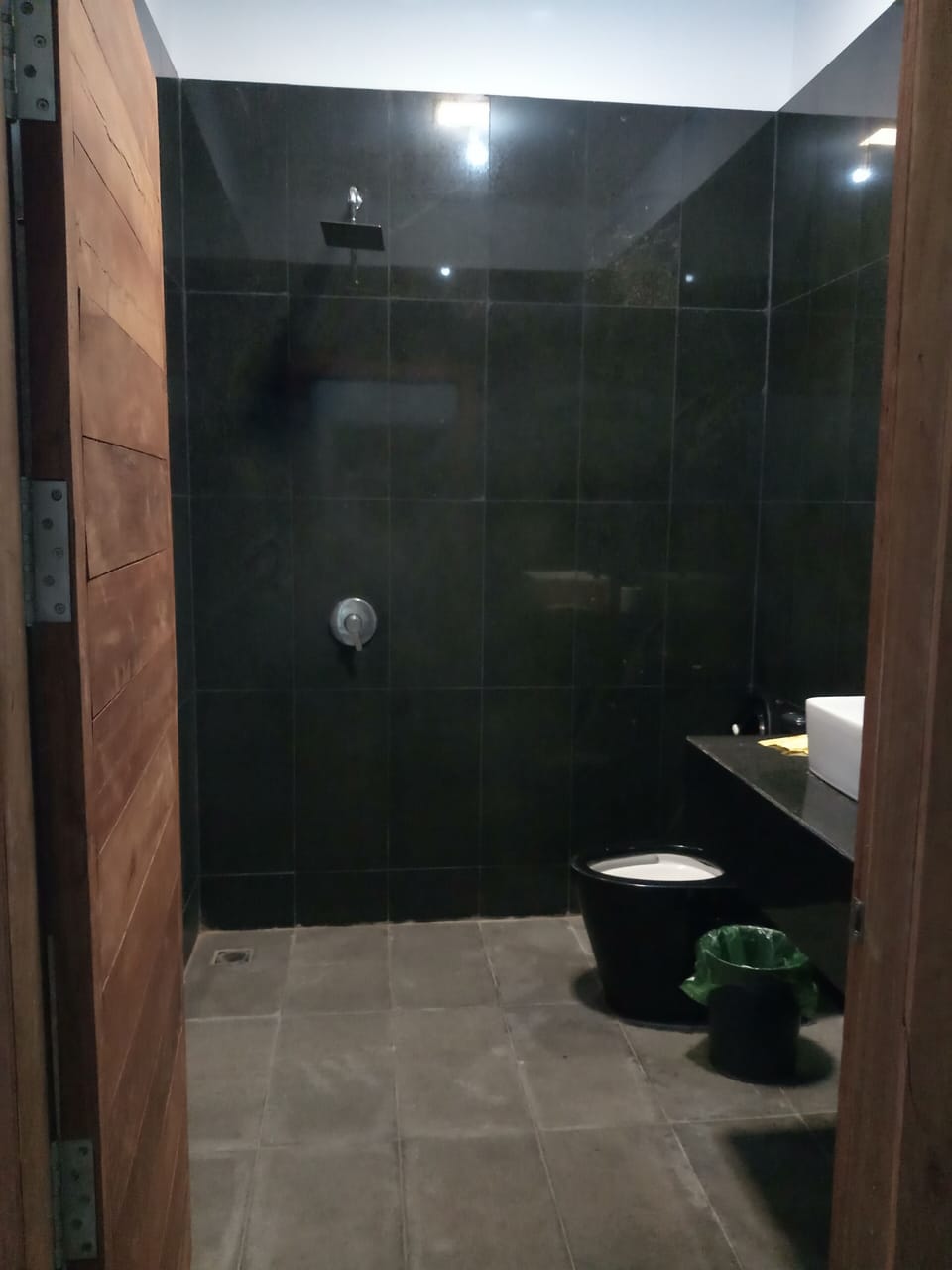 Grand Room | Bathroom | Shower, rainfall showerhead, hair dryer, bidet