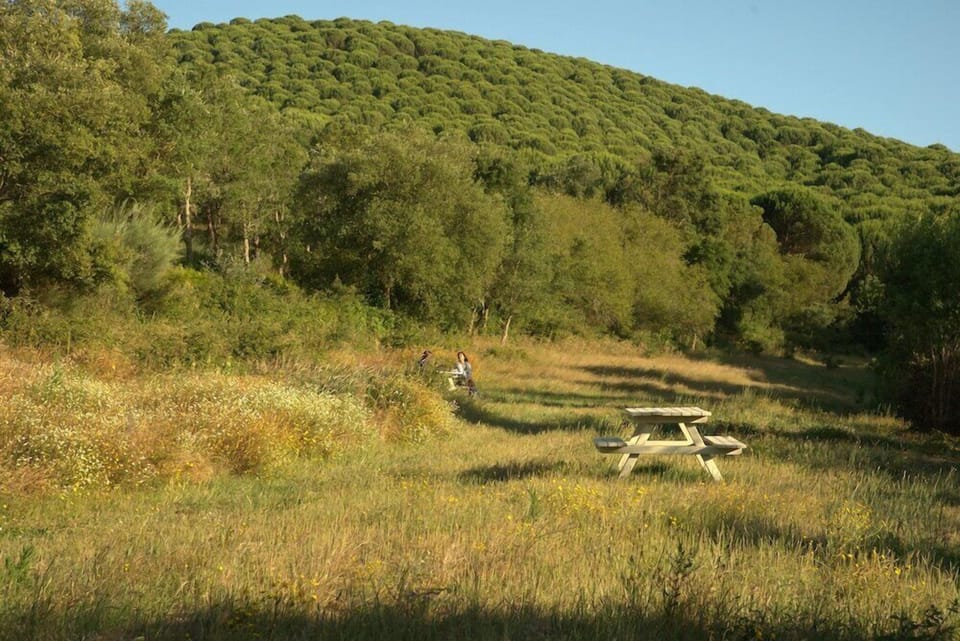Herdade Da Matinha Country House Restaurant Hotel in Vila Nova de Milfontes