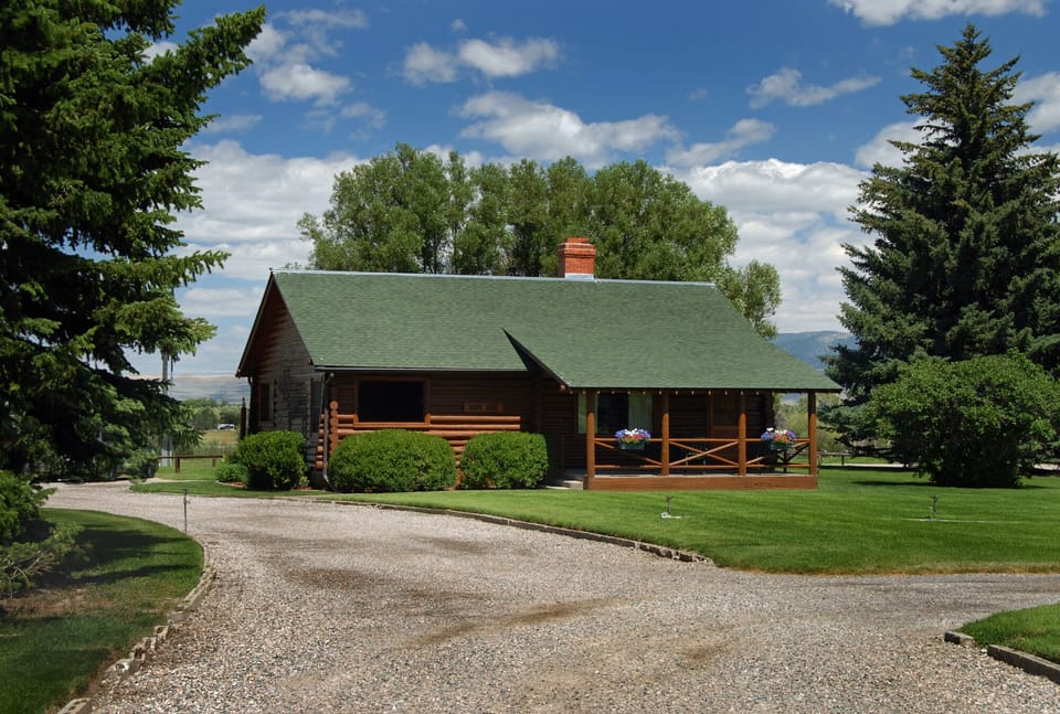 Moose Exterior
