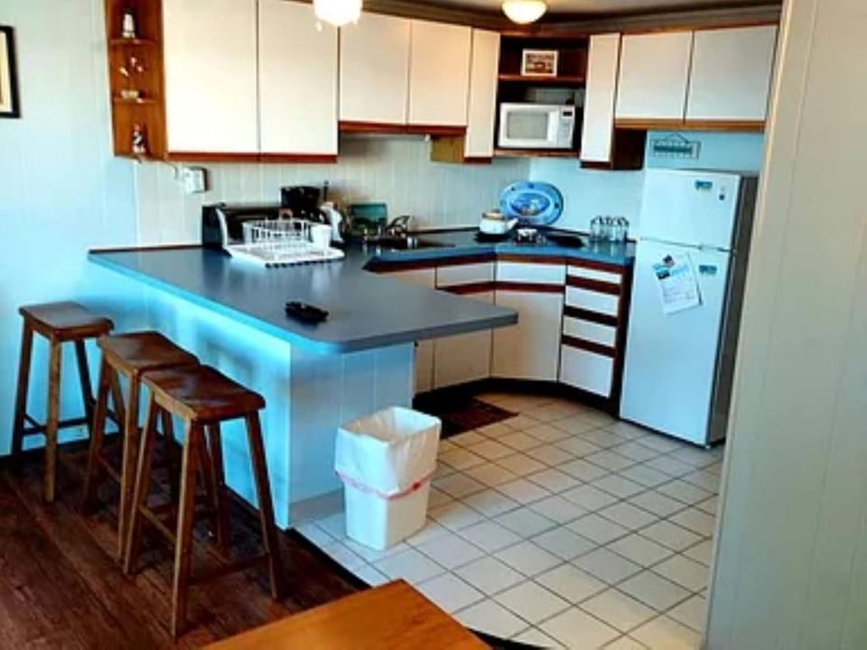 Kiitchenette with Cuboards,  Fridge, Microwave, Coffeemaker, etc