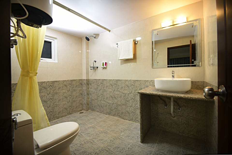 Deluxe Twin Room | Bathroom | Shower, free toiletries, hair dryer, towels