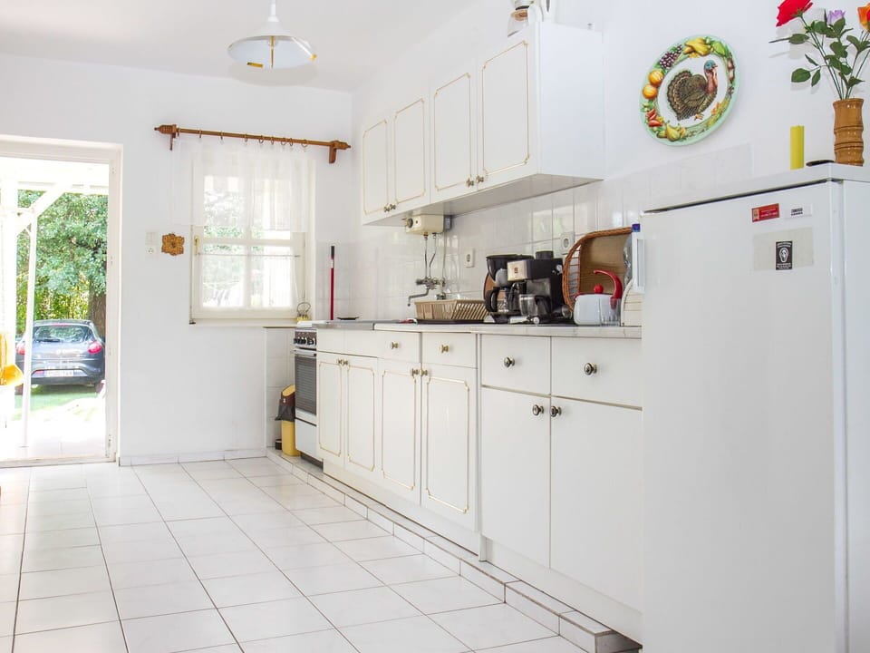 Cabinetry, Property, Countertop, Tap, Kitchen Appliance, Plant, Drawer, Kitchen, Interior Design, Wood