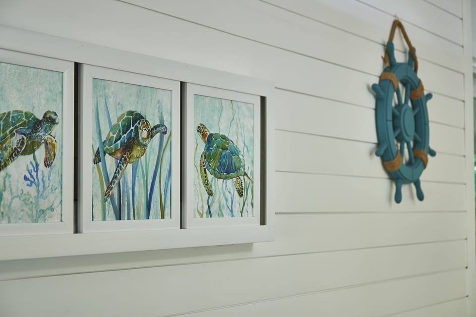 The Turtle Nest Features multiple turtle artwork throughout the house.