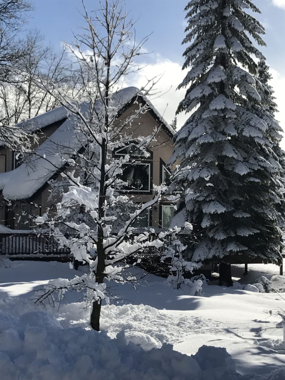 House in the Snow