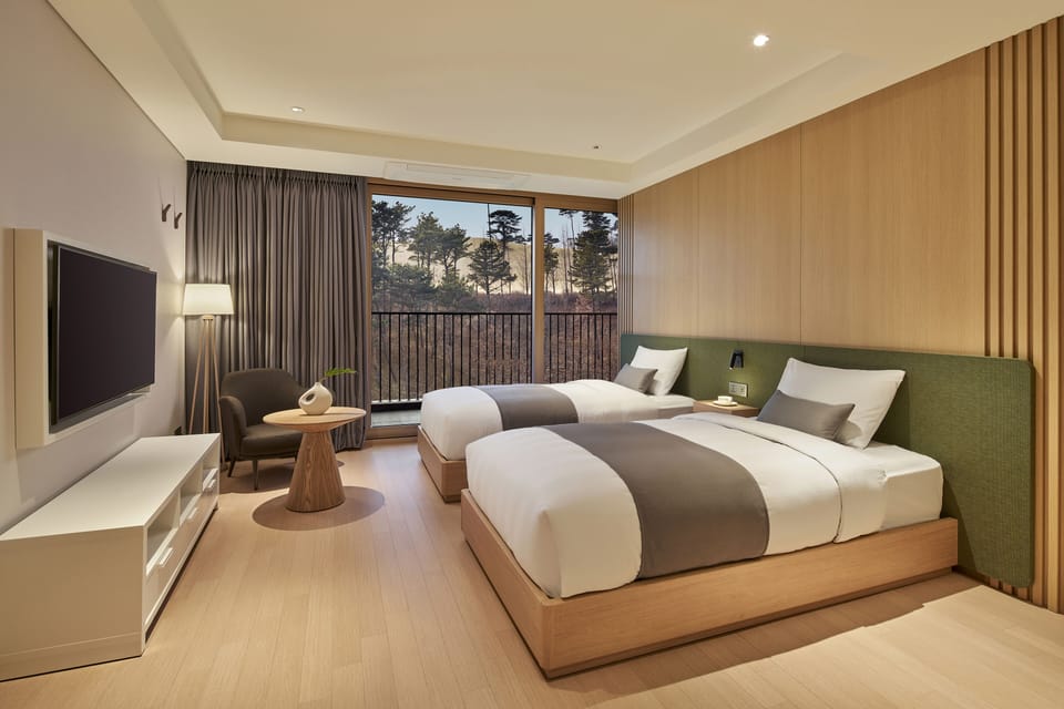 Deluxe Twin Room | Premium bedding, blackout drapes, free WiFi