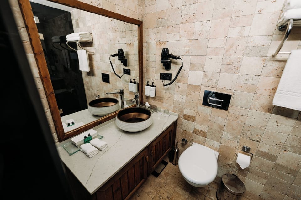 Deluxe Room | Bathroom | Shower, free toiletries, hair dryer, bathrobes