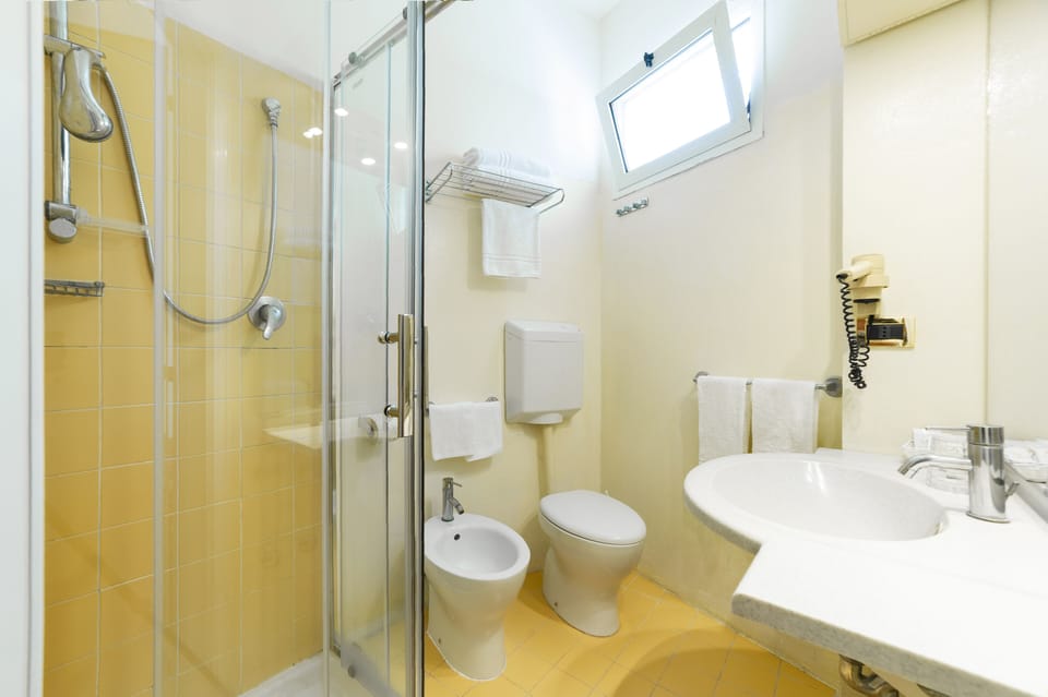 Shower, hair dryer, bidet, towels