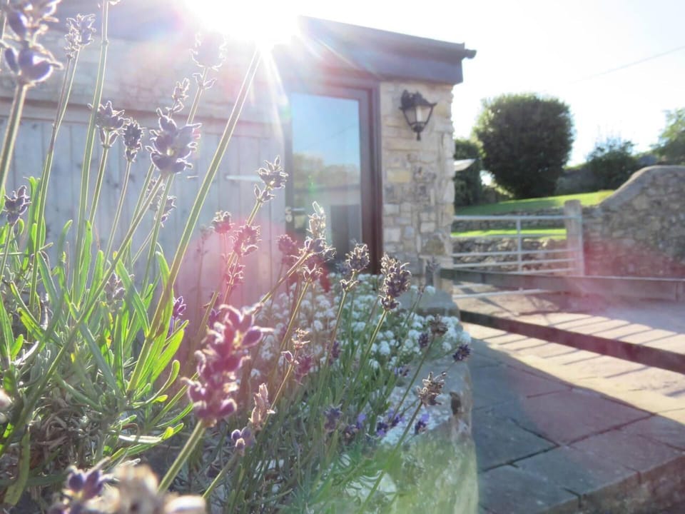 Cottage | Property grounds