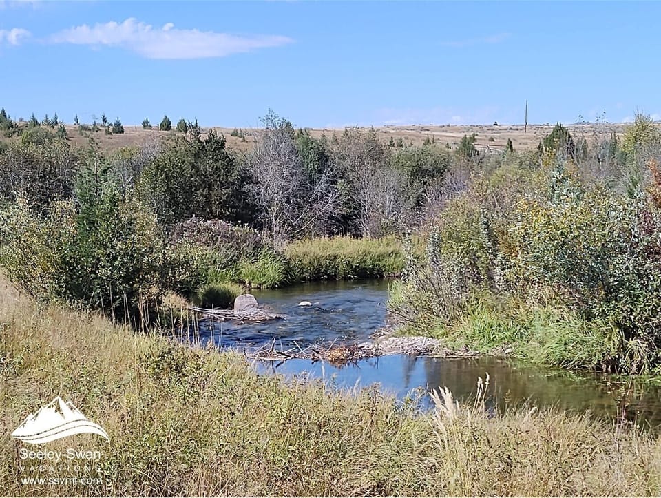 Monture Creek