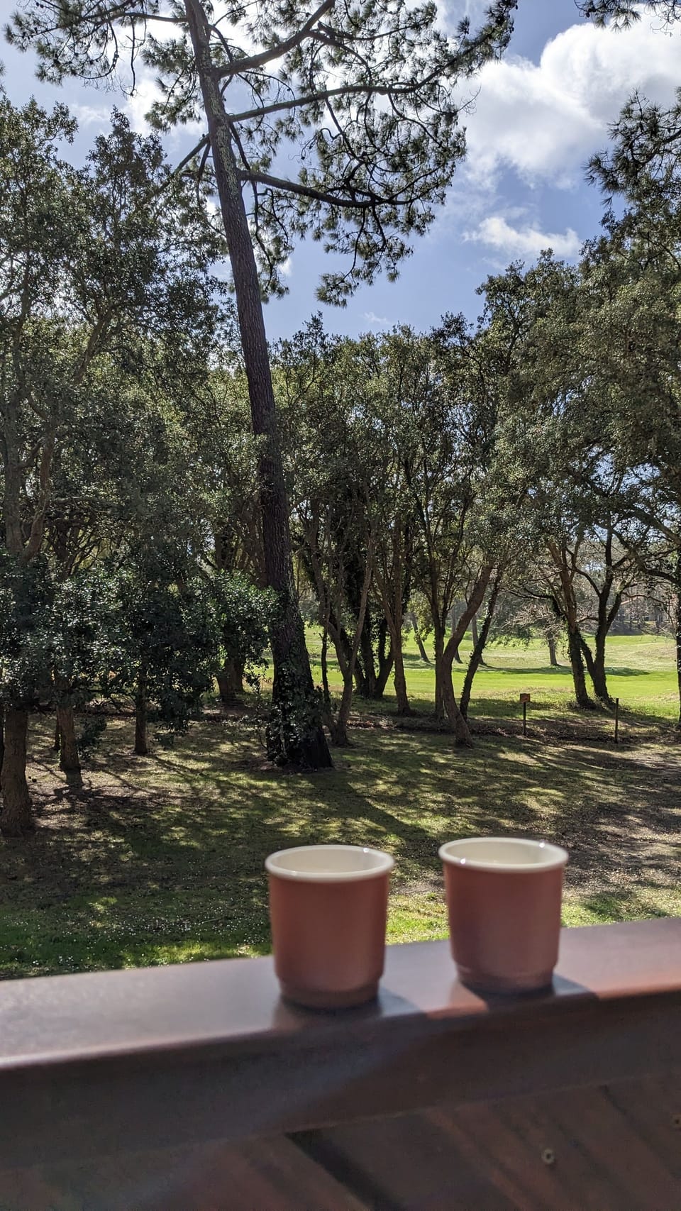 View from property