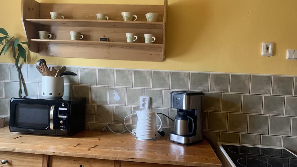Comfort Studio Suite | Private kitchen | Shared fridge, microwave, coffee/tea maker, electric kettle