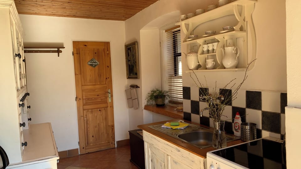 Premium Room | Private kitchen | Shared fridge, microwave, coffee/tea maker, electric kettle