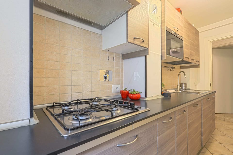 Basic Apartment, 1 Double Bed with Sofa bed | Private kitchen | Fridge, oven, stovetop, electric kettle