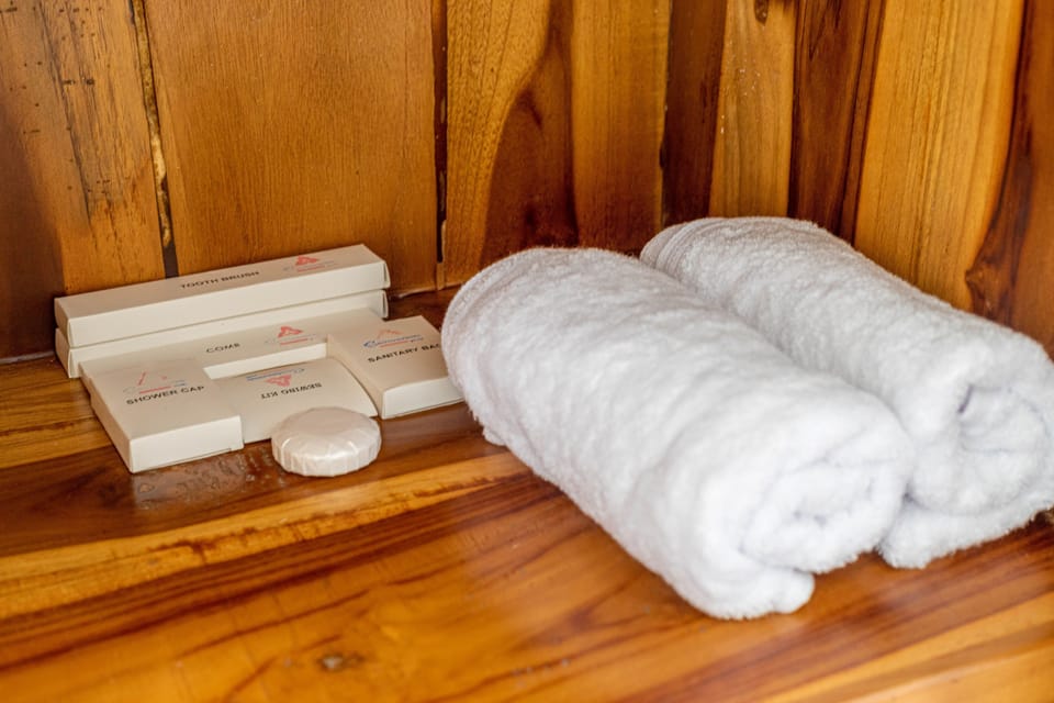 Shower, free toiletries, slippers, towels