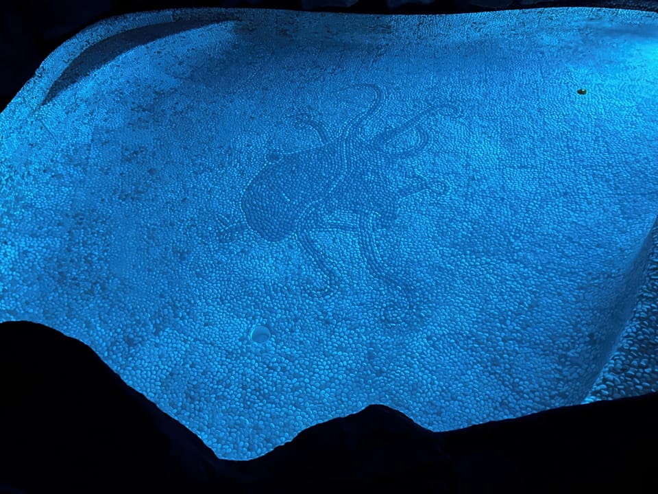 The Octopus.