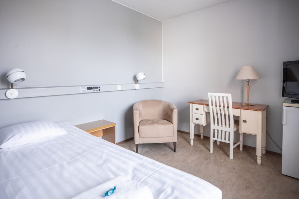 Standard Single Room, 1 Twin Bed | Desk, WiFi (free), bed sheets