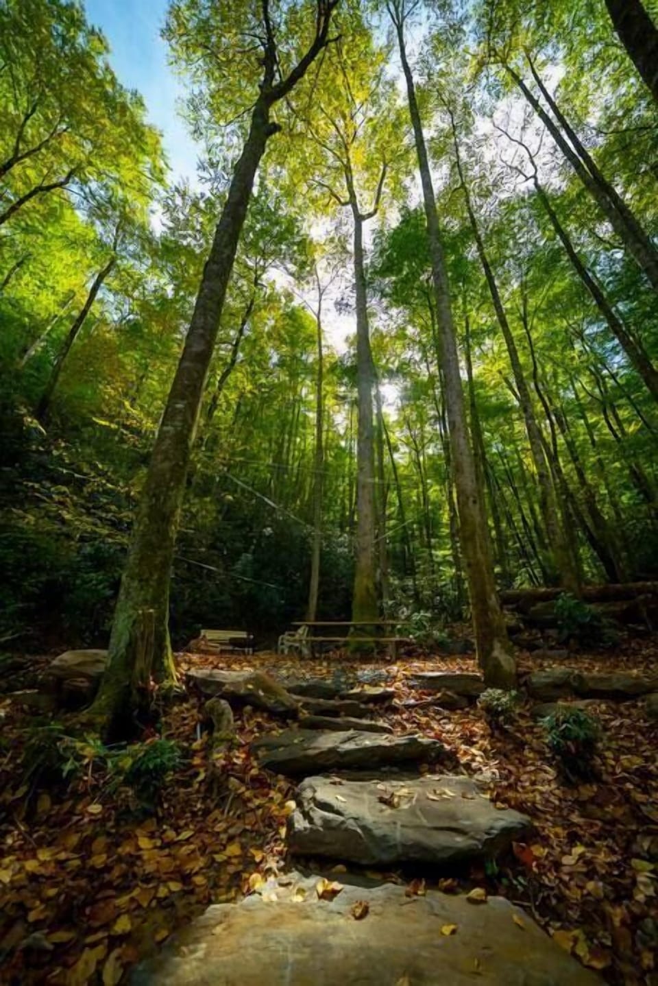 Ad0d133b 3d91 4188 9f02 4b9df2457578