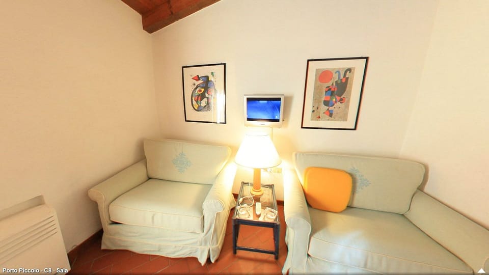 Flat-screen TV
