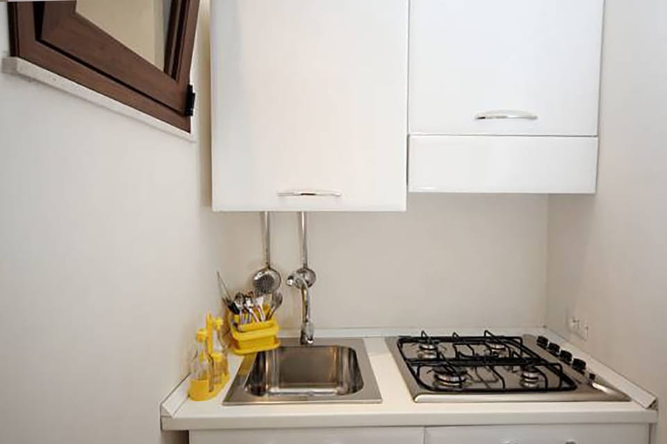 Basic Apartment | Private kitchen | Mini-fridge, stovetop, cookware/dishes/utensils, cleaning supplies